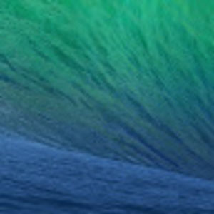 Meet your Posher, Jack